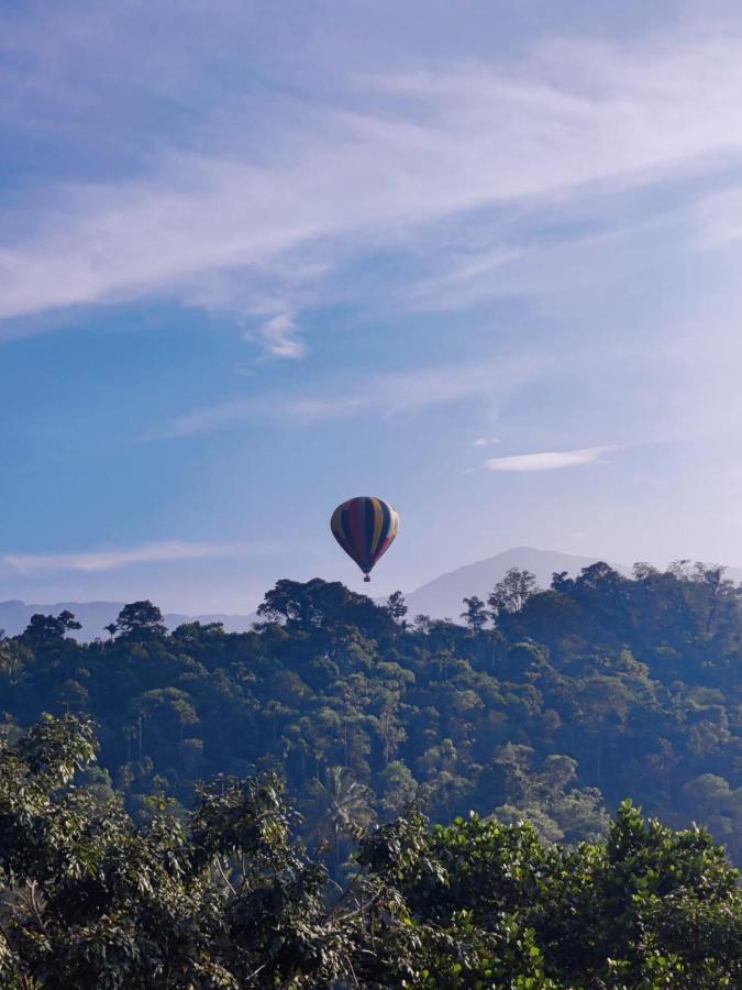 Munnar Bnb Bed & Breakfast Exterior photo